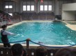Zoo 2011 (286)